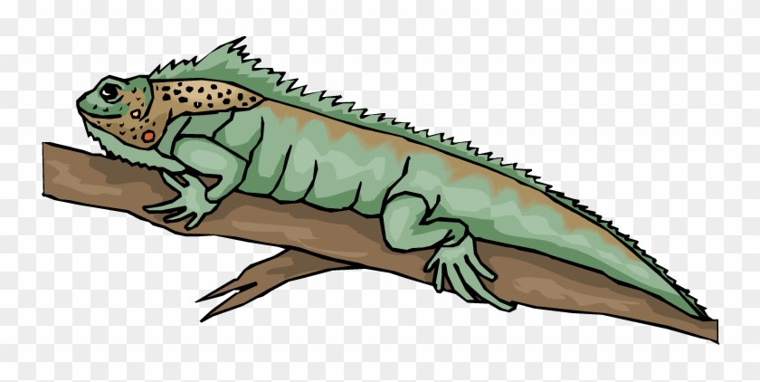 Bearded Dragon Clipart - Bearded Dragon Lizard Clipart #311499