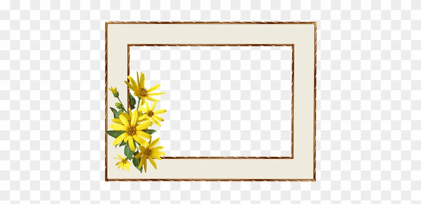 Frame Border #312204