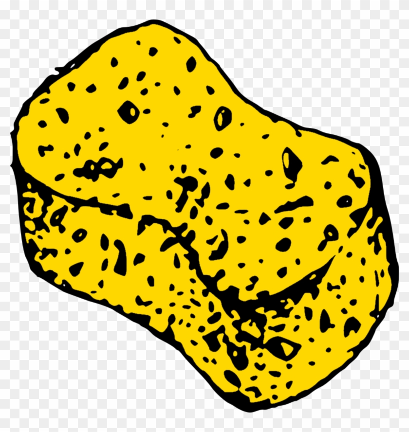 Clipart - Sponge Clipart #312264