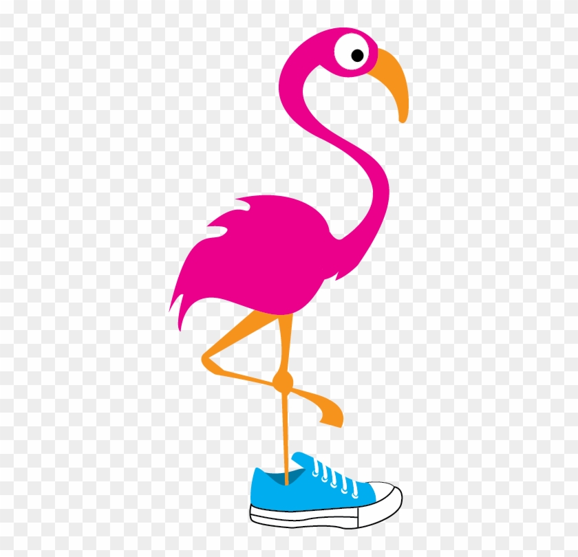 Hospice Of Guernsey Will Host It's 5th Annual Flamingo - Flamingo 5k #312700