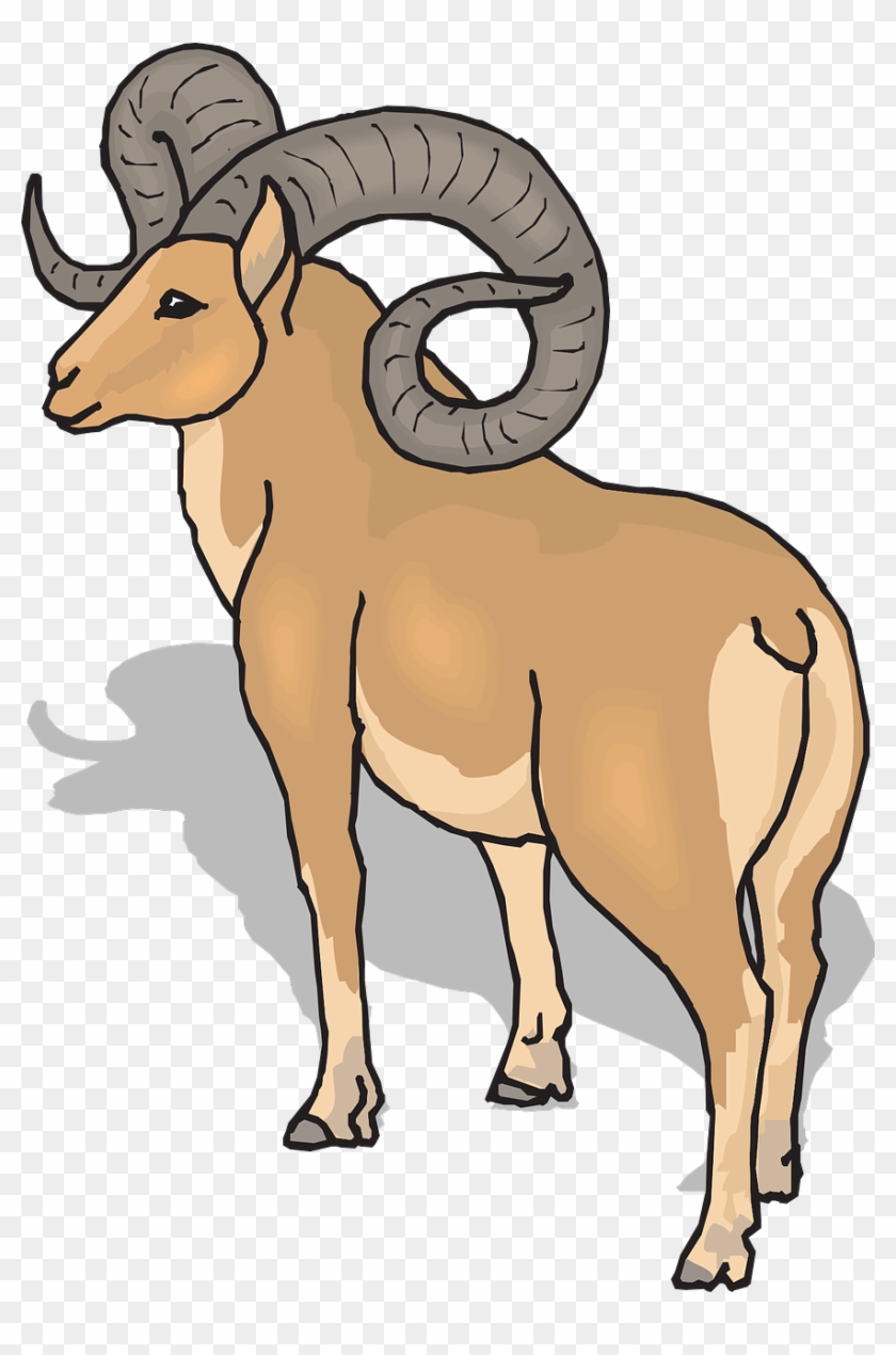 Ram Clip Art #313205