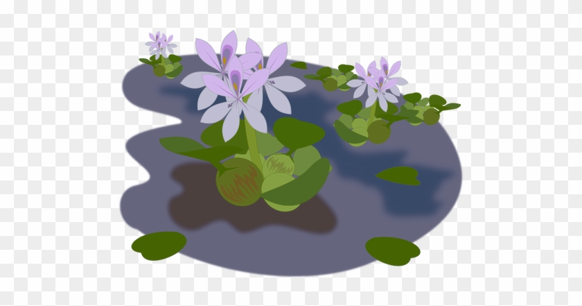 Violet Tanaman - Water Hyacinth Png #313210