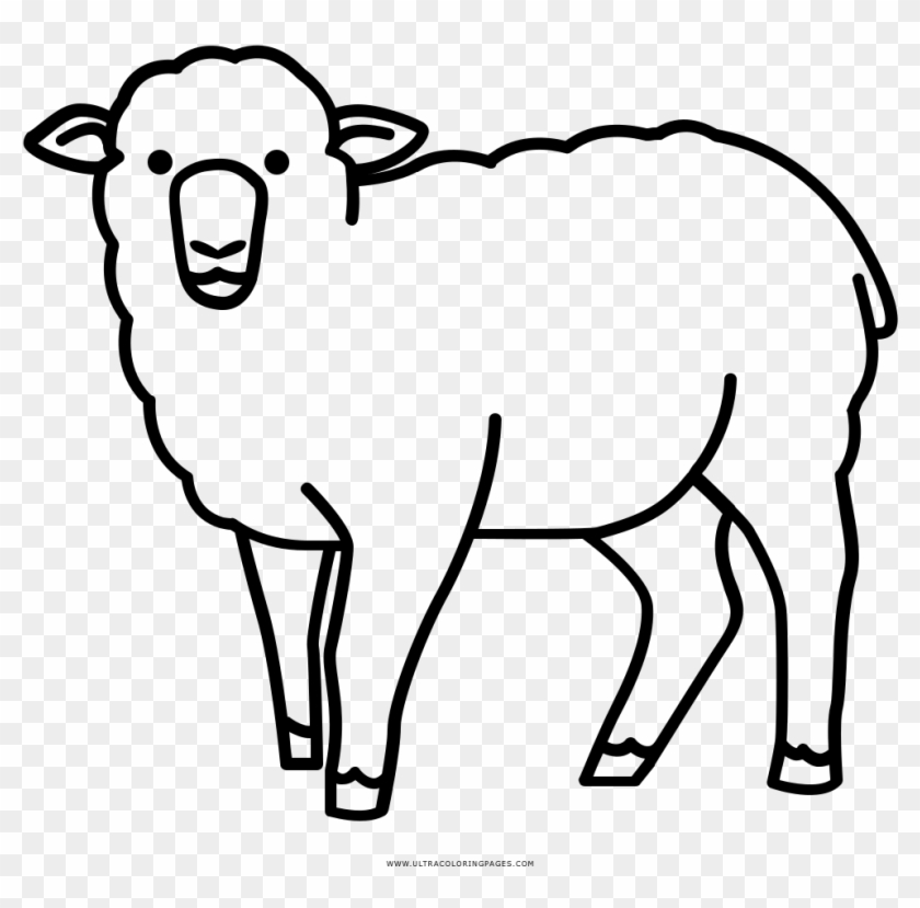Sheep Coloring Page - Sheep #313219