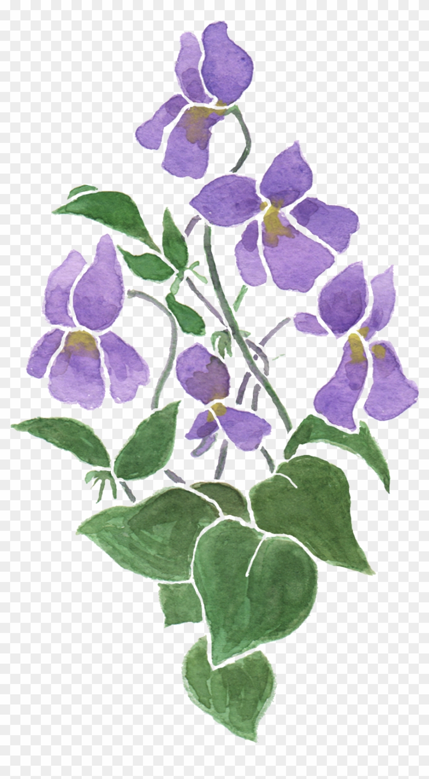 It Doesn't Deny That Violets Are Not Particularly Showy - It Doesn't Deny That Violets Are Not Particularly Showy #313241
