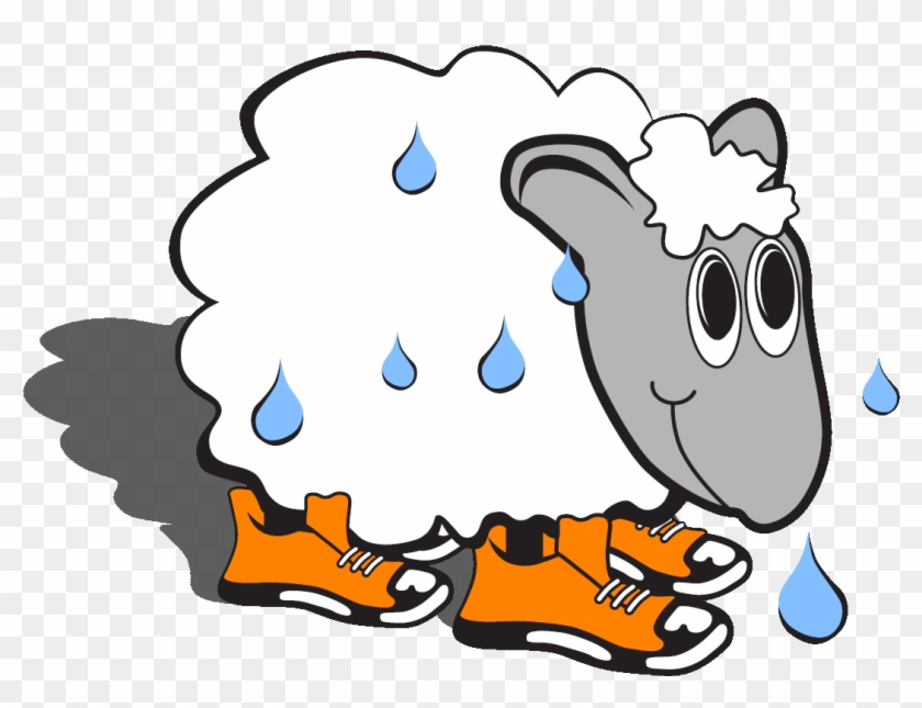 California Events - Sweaty Sheep #313259