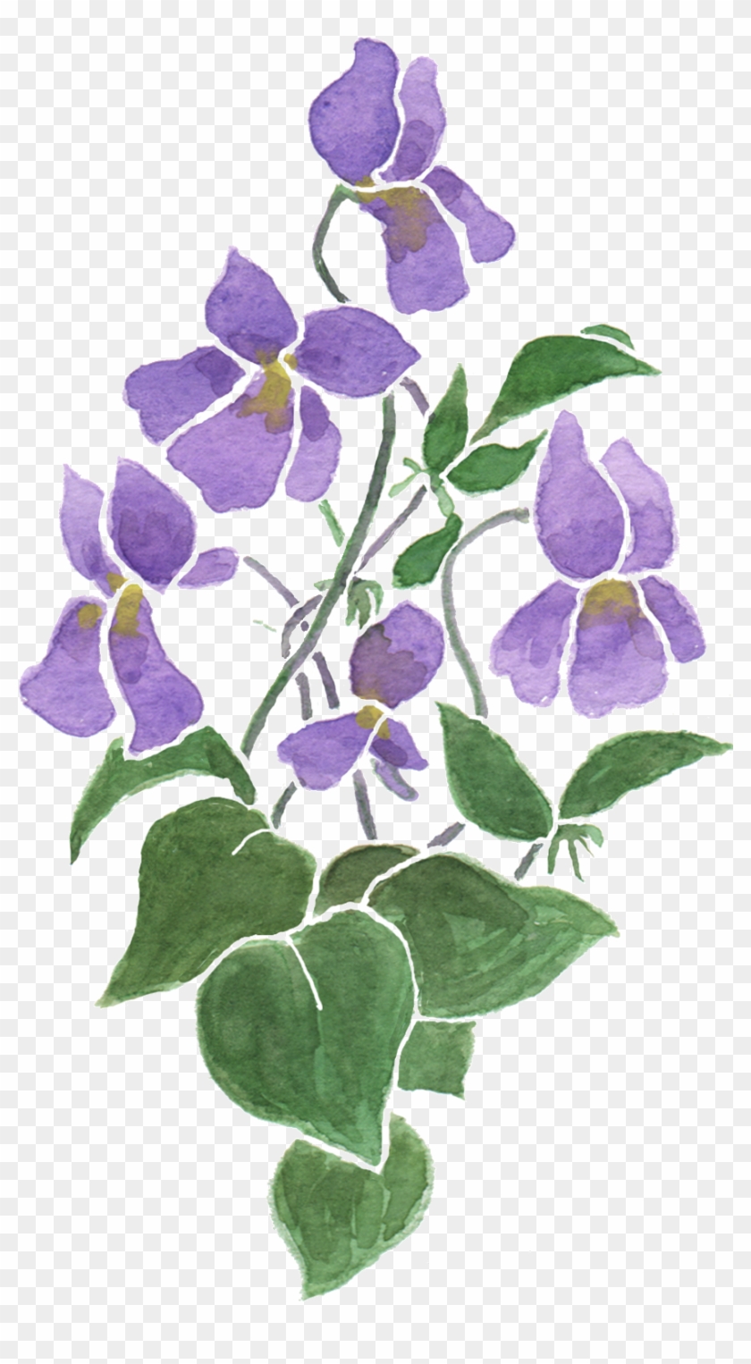 Violet Playlist Flower Music Purple - Violets Transparent #313284