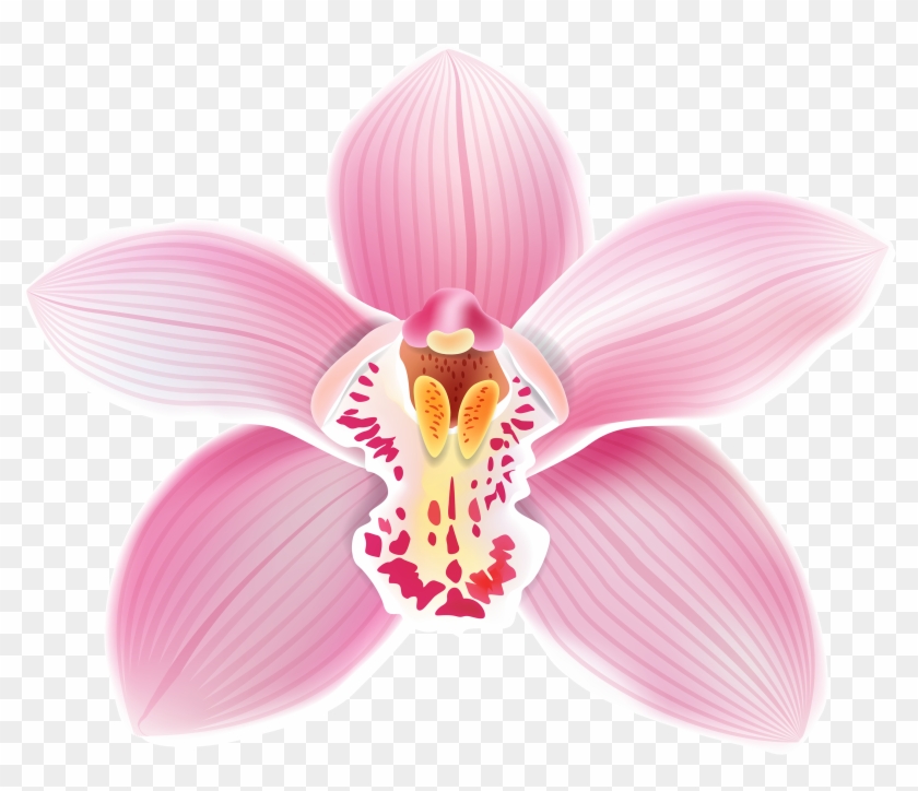 Pink Orchid Png Clipart Best Web Clipart - Orchids Clipart #313342