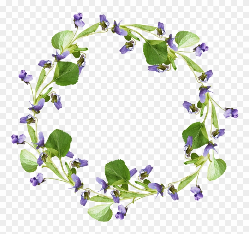 Violets Frames - Portable Network Graphics #313437