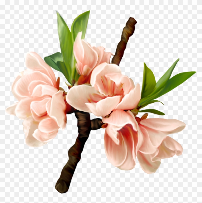 Flower Blossom Clip Art - Flower Blossom Clip Art #313737