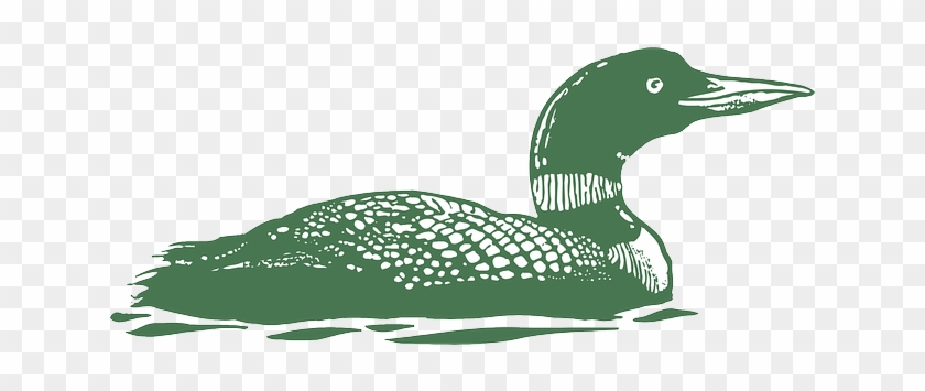 Green, Bird, Duck, Color, Swimming, Wings, Art - Loon Vector #313861