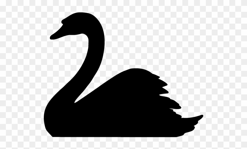 Black Swan Wallpaper - Black Swan Transparent #313961