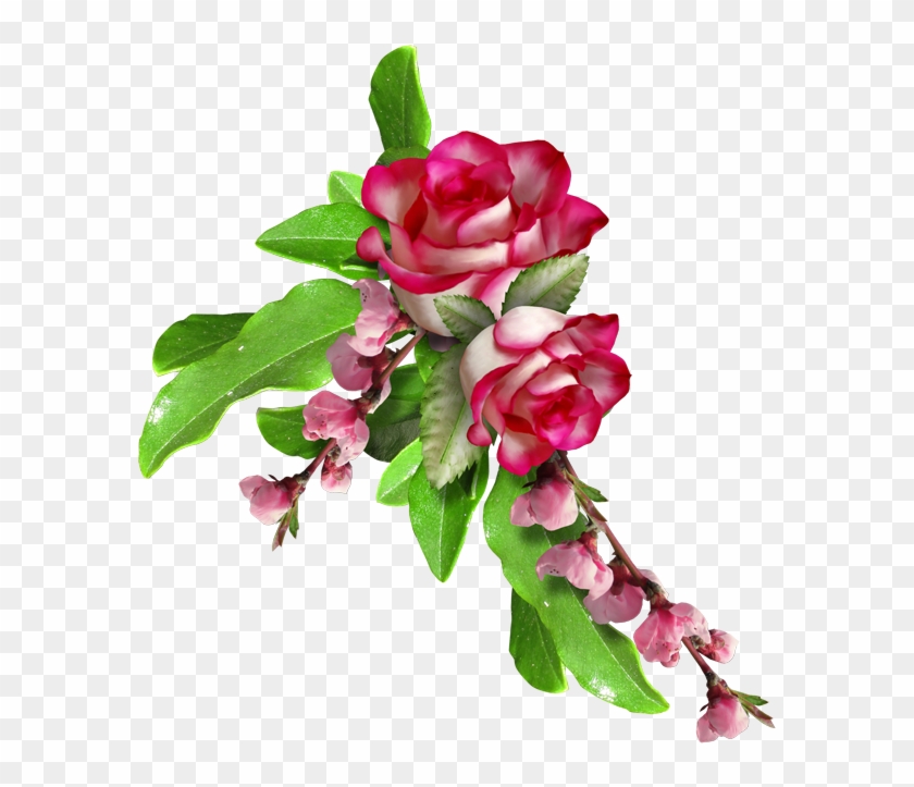 Garden Roses Floral Design Flower Clip Art - Garden Roses Floral Design Flower Clip Art #314017