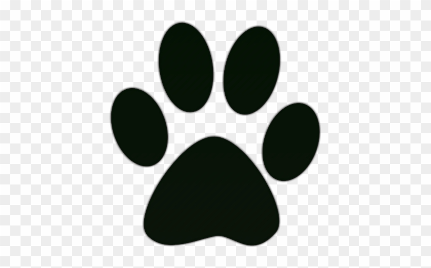 Dog Paw Wallpaper Clip Art - Paw Print Transparent Background - Free PNG Clipart Images