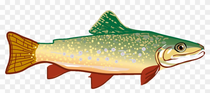 Rainbow Trout Clip Art - Rainbow Trout Clip Art #314068