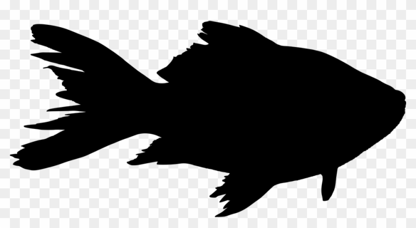 Fish, Animal, Silhouette, Sea - Fish Silhouette #314143