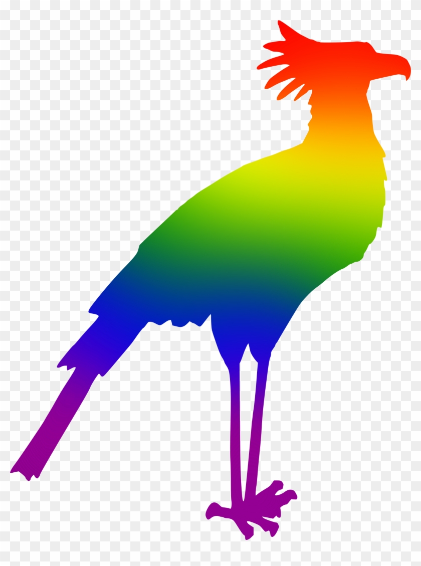 Big Image - Bird Drawing Silhouet #314368