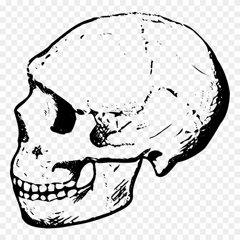 Free Amud Skull - Skull Bone Clip Art #314666