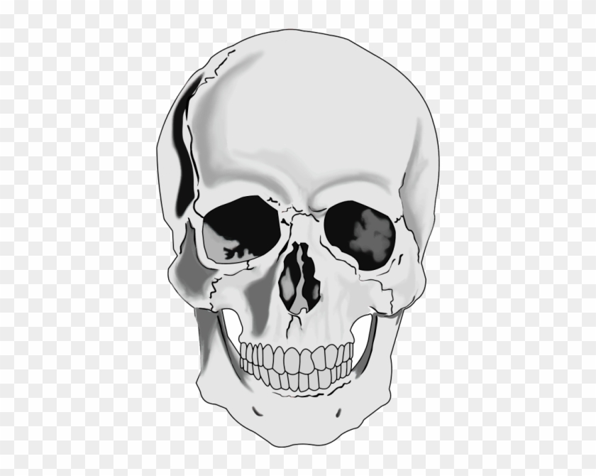 Skull Human Head Clip Art Free Vector For Free Download - Human Skull Clipart #314720