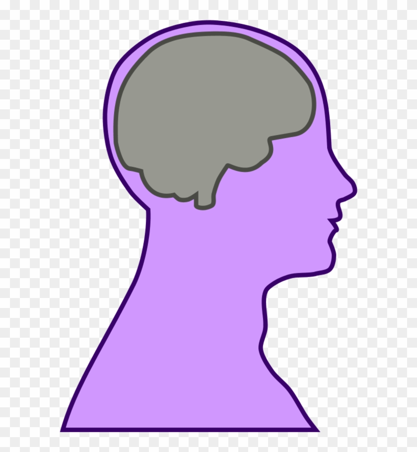 Brain Human Man - Outline Of Head In Profile #314783