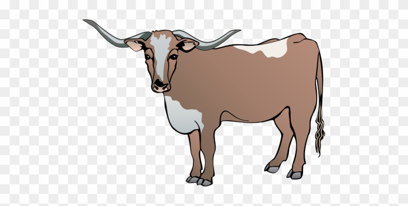 Longhorn Cattle Clipart Drawing - Cow Vector #314813