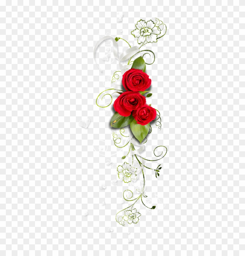 Publicat De Eu Ciresica La - Garden Roses #314856