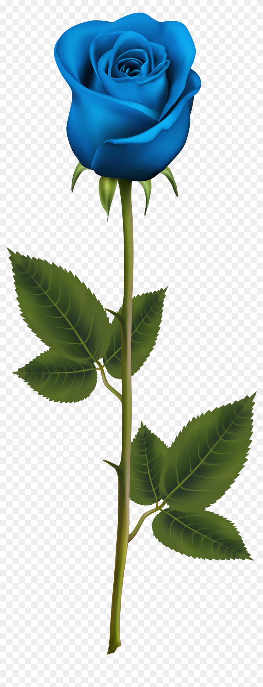 Blue Rose With Stem Png Transparent Clip Art Image - Blue Rose With Stem Tattoo #314936
