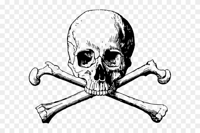 Punisher Skull Poster - Skull And Crossbones #315004
