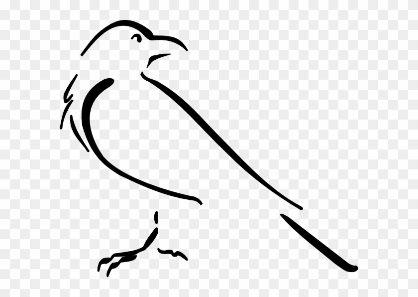 Crow Line Art Svg Downloads - Crow Drawing Outline #315153