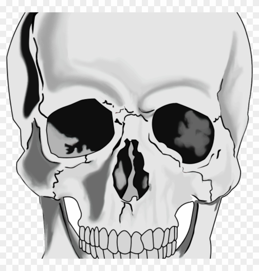 Skull Clipart Clipart Realistic Human Skull Clipartix - Skull Png #315188