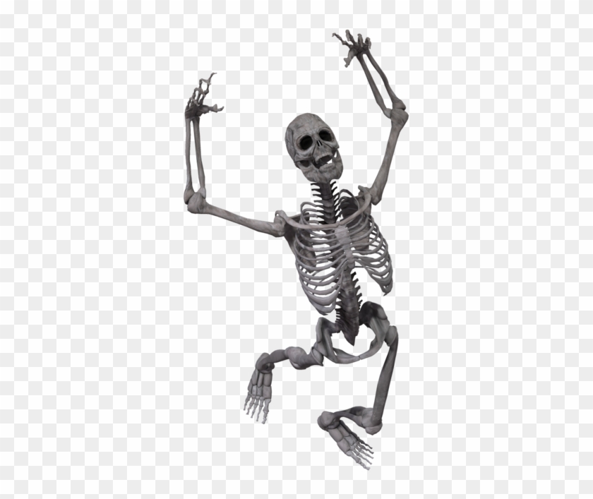 Skeleton Png - Skeleton #315212