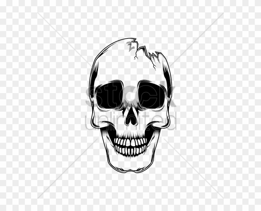 Broken Skull Vector Image - Skull With Cap Png #315217