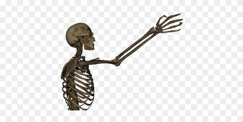 Human Skeleton Arm Bone Clip Art - Human Skeleton Arm Bone Clip Art #315231