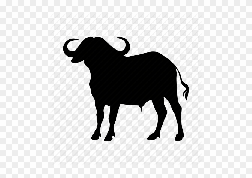 Buffalo, Cape, Zoo Icon Icon Search Engine - Cape Buffalo Silhouette #315235