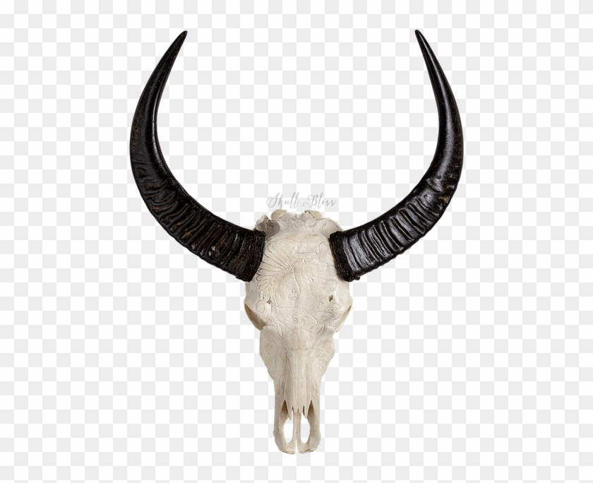 Carved Buffalo Skull - Skull #315248