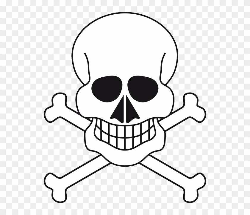 Vector Skull, Skeleton, Pirate, Bones, Vector - Korsan Iskeleti #315249