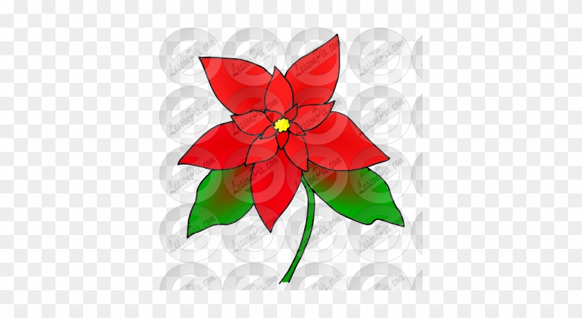 Poinsettia Clipart Petal - Poinsettia #315261