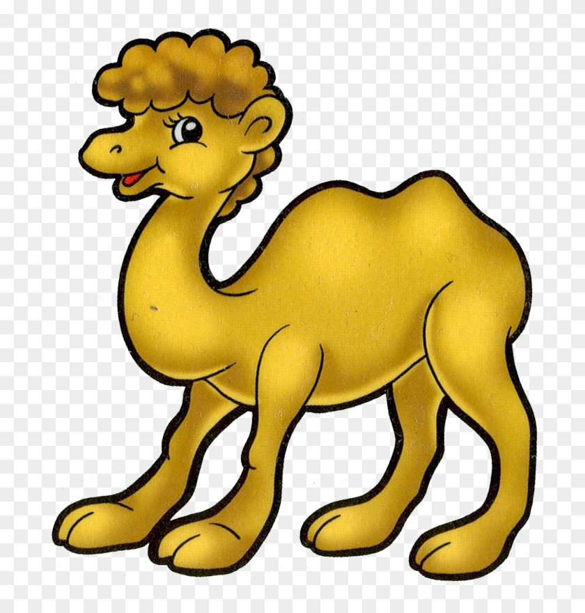 Funny Cartoon Camel Clip Art Images - Верблюд Рисунок Пнг #315291