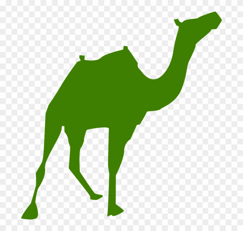 Walking Camel Silhouette Clip Art - Silueta Camello Png #315296