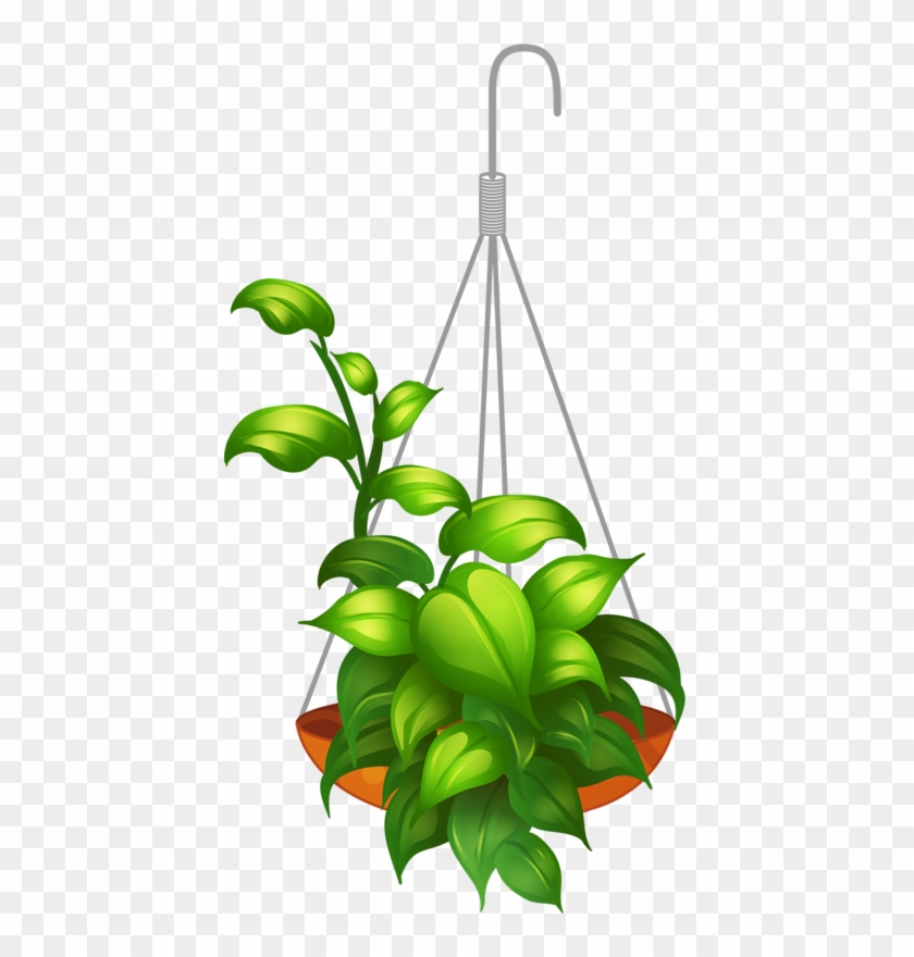 Hanging Flower 2 - Hanging Plants Vector Png #315307