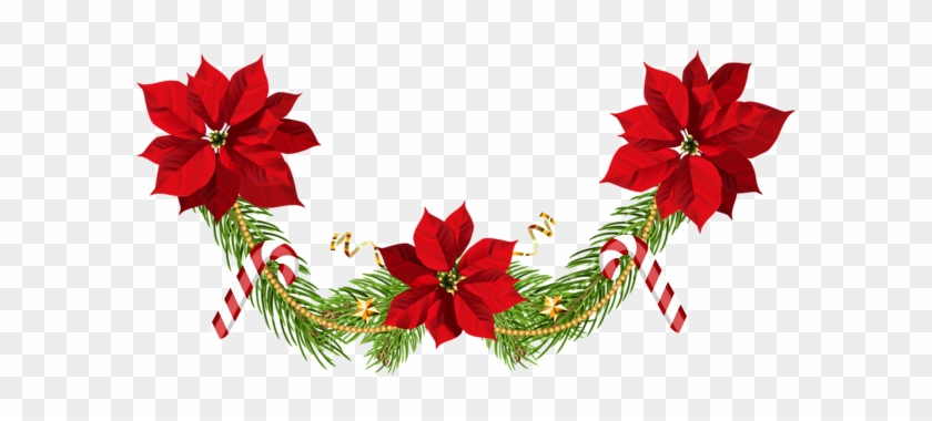 Christmas Poinsettias Garland Clip Art Png Image - Flower Garland Hd Png #315314