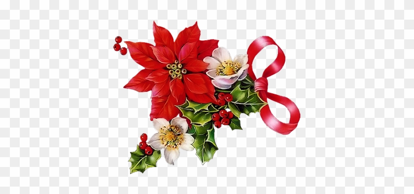 Tfn - Clipart Christmas Poinsettia #315333