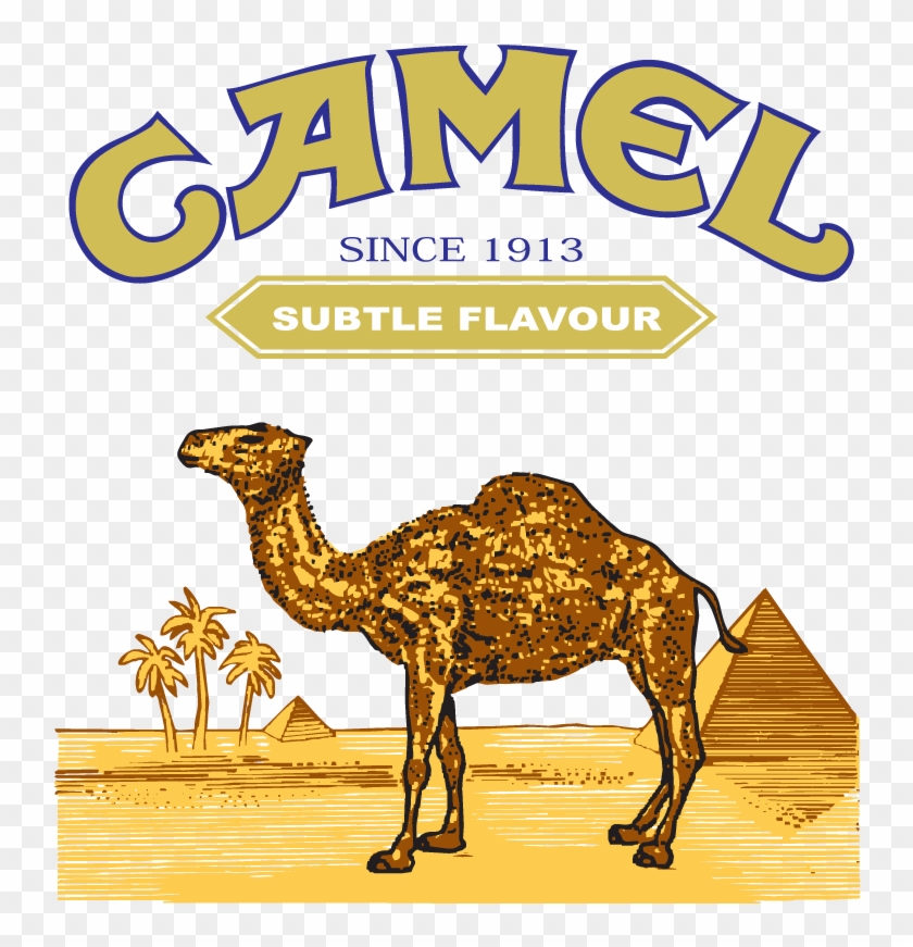 Camel Cigarette Logo - C Note Camel Cash #315338