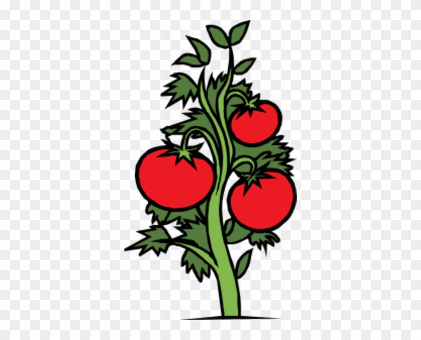 Plants Clipart #315376