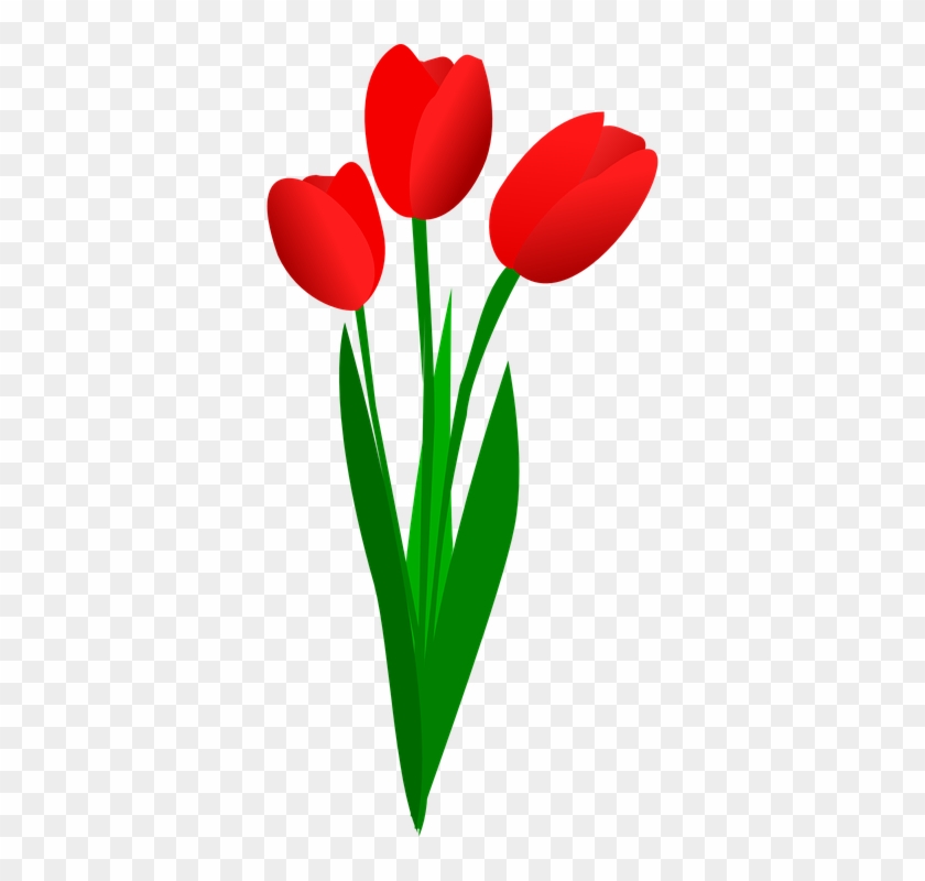 Poinsettia Flower Cliparts 27, Buy Clip Art - Red Tulip Clip Art #315390