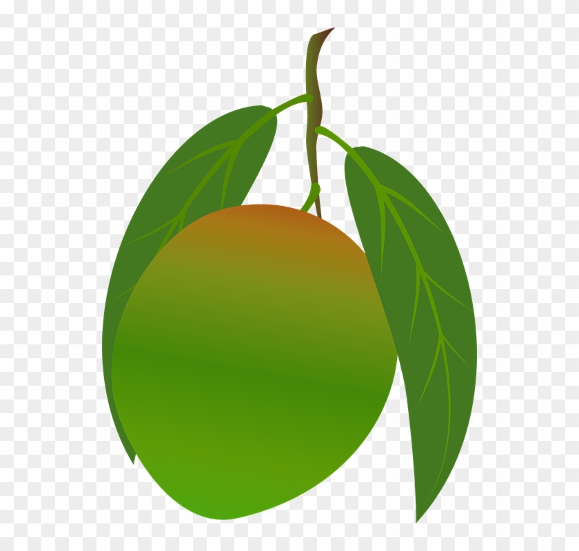Mango Clipart Food - Mango Green Png #315400