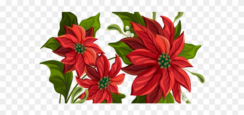 Poinsettia Drawing #315438