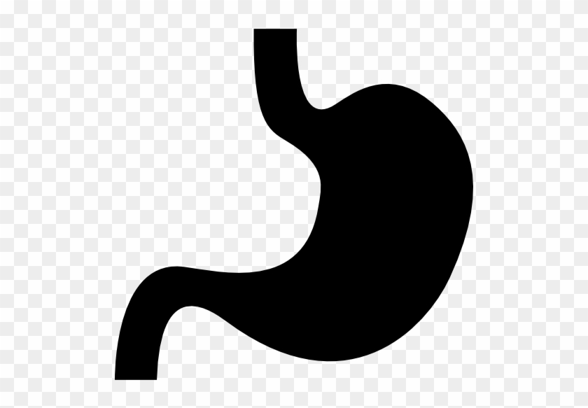Body Parts, Shape, Organs, Stomach, Silhouette, Organ, - Stomach Icon #315451