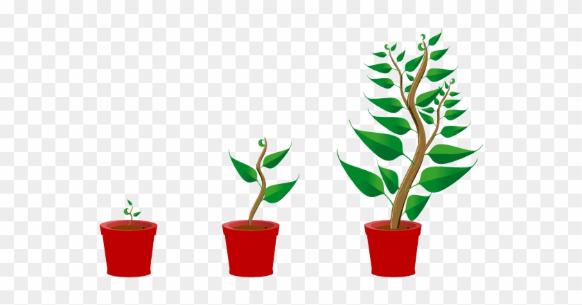 Growing Trees Clip Art At Clker - Getting To Know Plants #315469