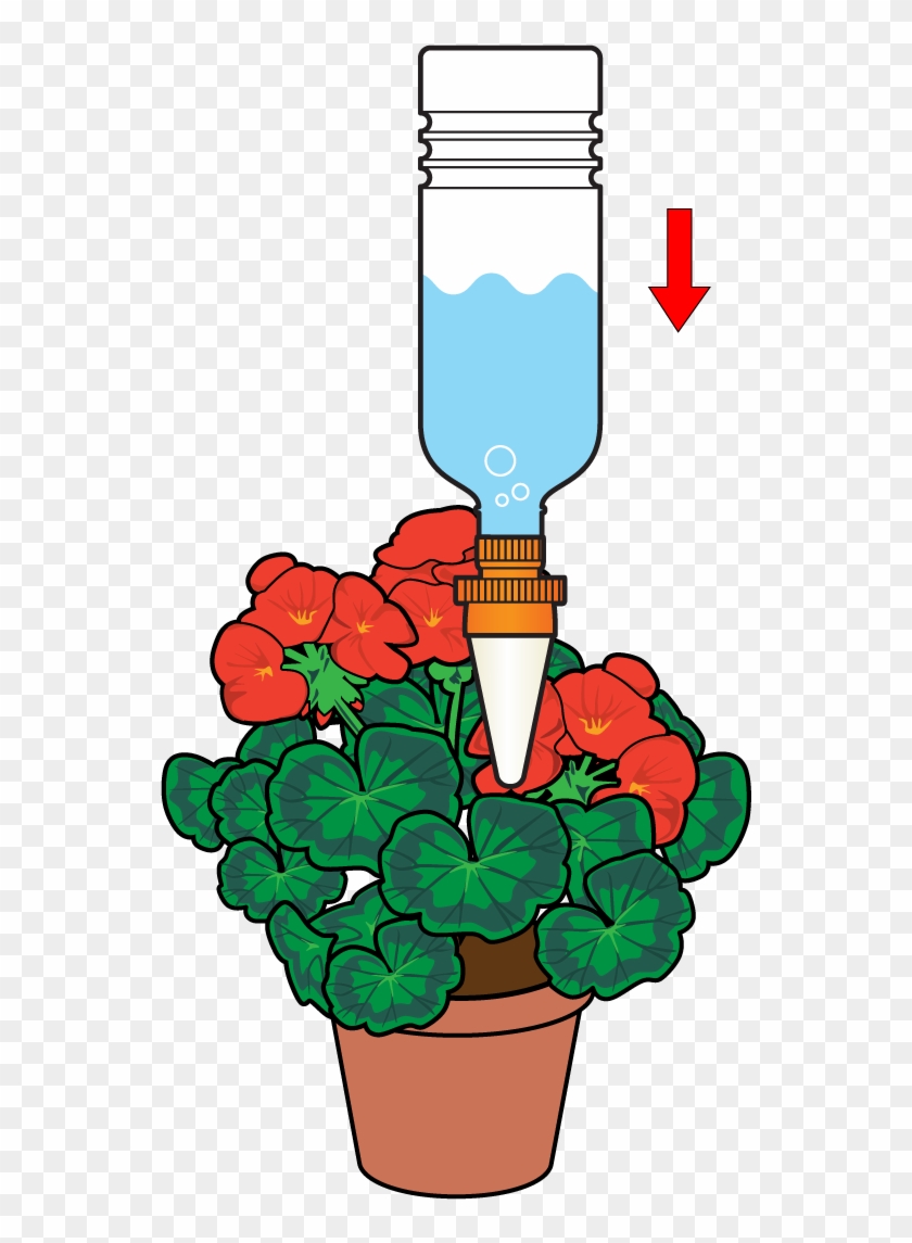 Insert The Cone Into The Plant Pot To Allow A Slow - Aquasolo 10420 4 Cônes Arrosage Medium Vert #315503