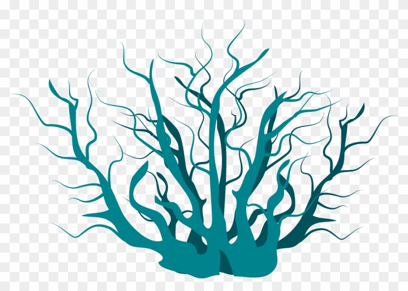 Aquatic Plant Clip Art - Algae #315525